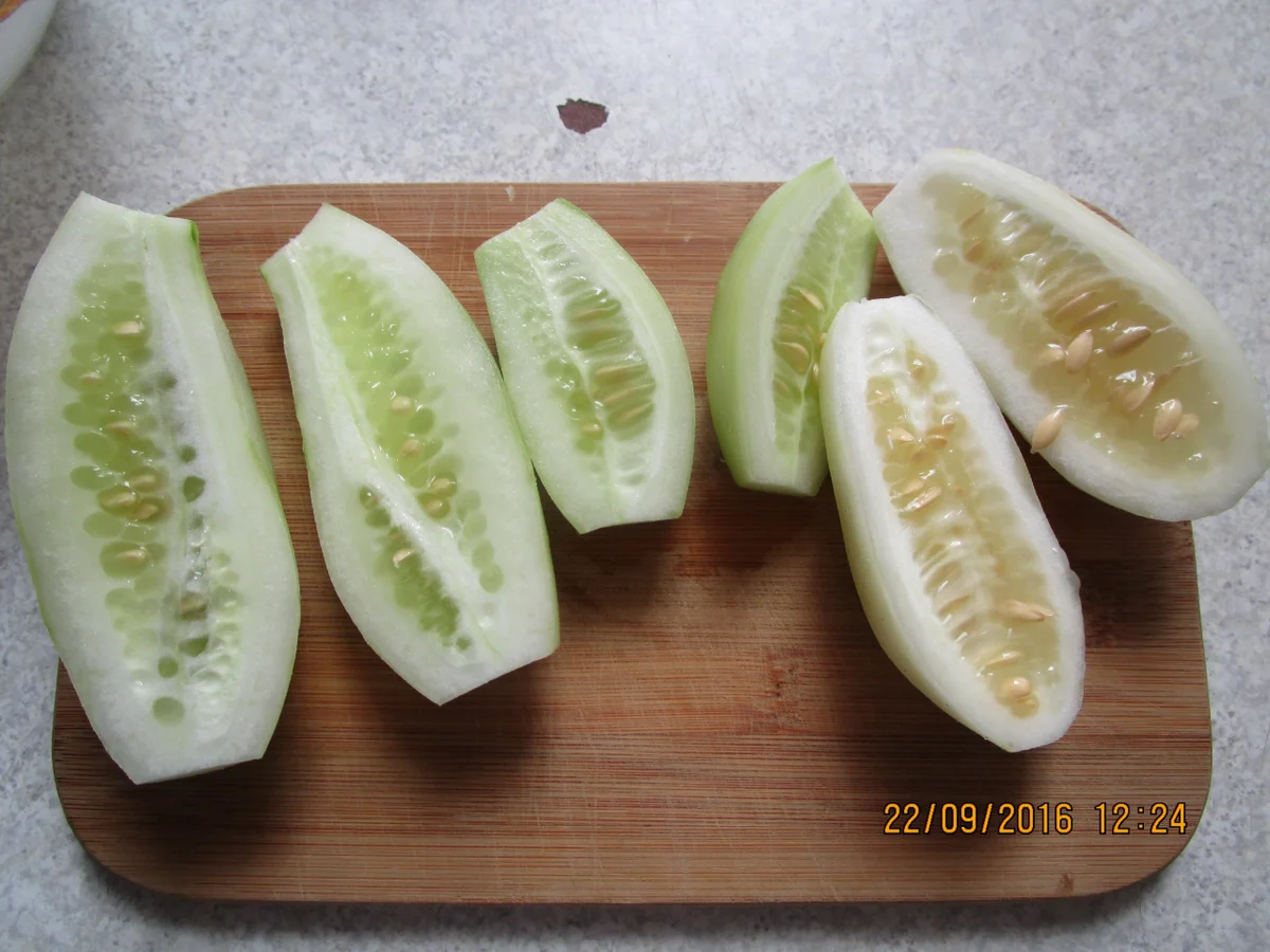 Schmorgurken mit Kapern - Rezept - Bild Nr. 392