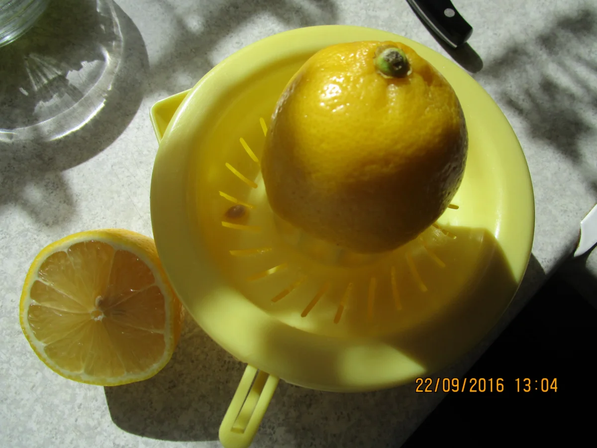 Schmorgurken mit Kapern - Rezept - Bild Nr. 396