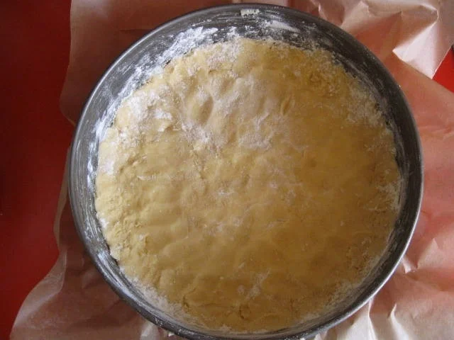 Heidelbeerkuchen - Rezept - Bild Nr. 6