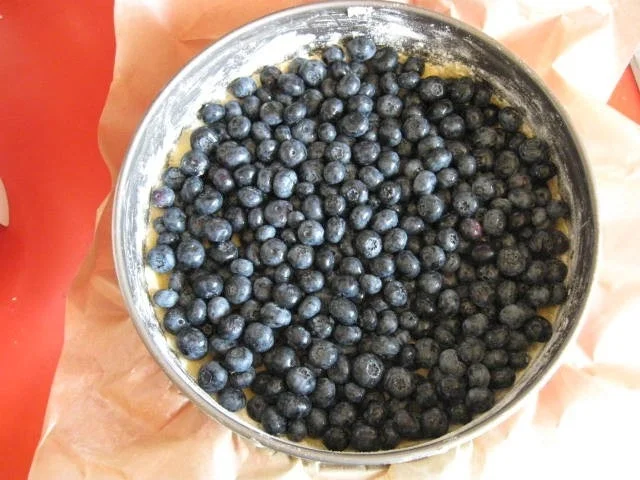 Heidelbeerkuchen - Rezept - Bild Nr. 7