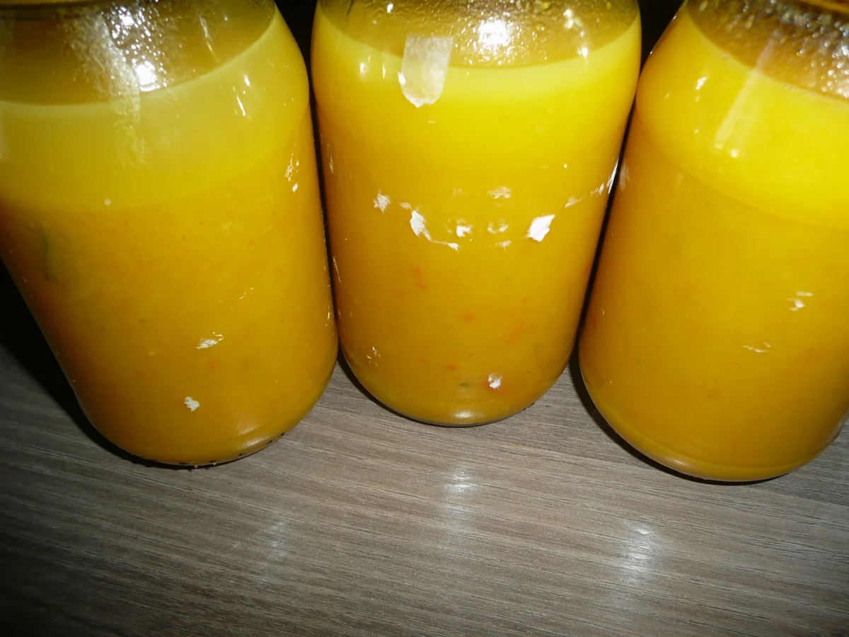 3 Glas Kürbis - Karottensüppchen mit Kokosmilch. - Rezept - Bild Nr. 474