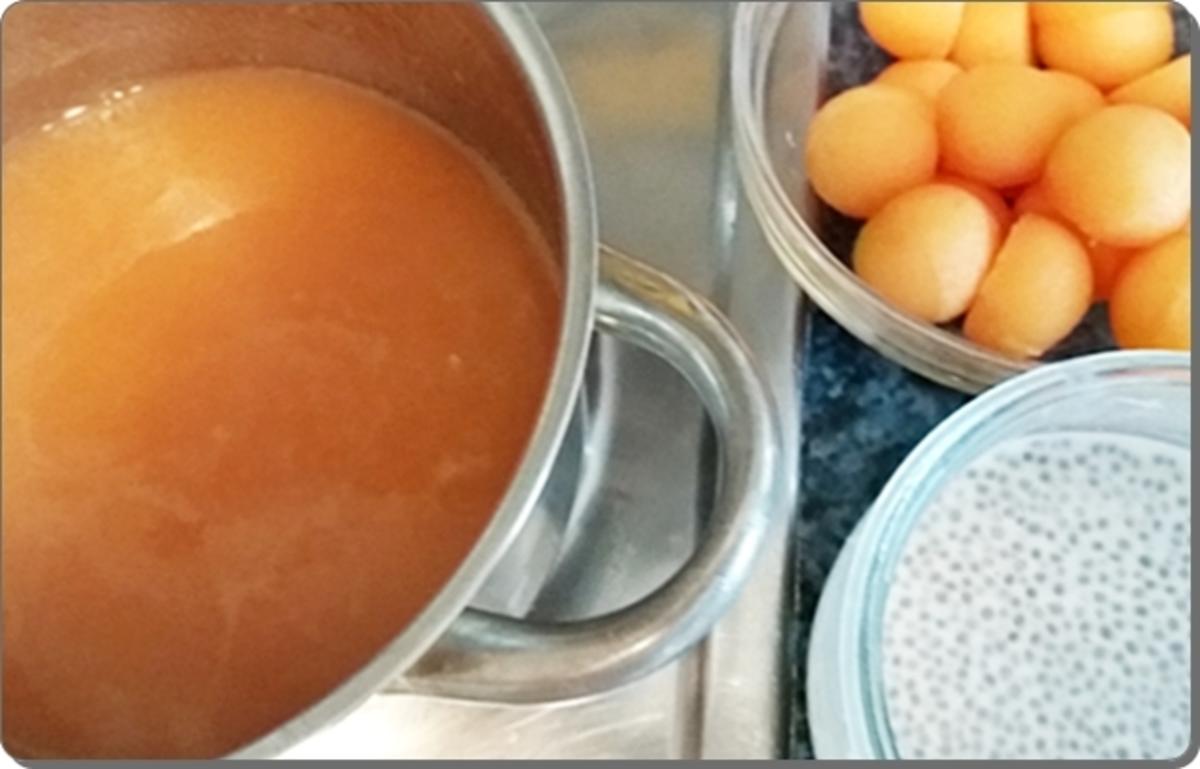 Chia- Cantaloupe Pudding/Jelly  mit Früchten verfeinert - Rezept - Bild Nr. 518