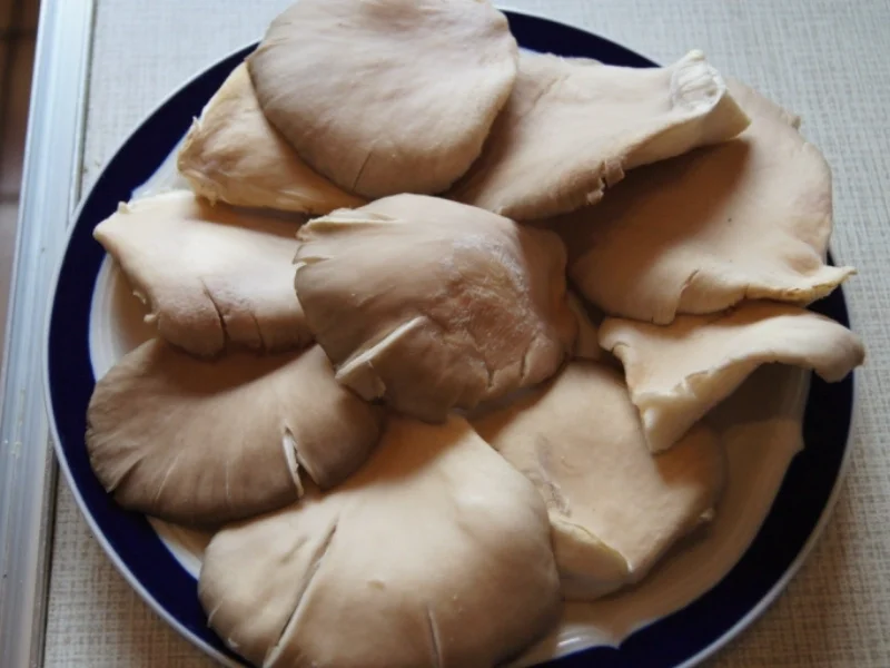 Rezept: Austernpilze mit Seranoschinken Bild Nr. 533 Austernpilze mit Seranoschinken - Rezept - Bild Nr. 533