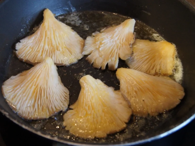 Rezept: Austernpilze mit Seranoschinken Bild Nr. 535 Austernpilze mit Seranoschinken - Rezept - Bild Nr. 535