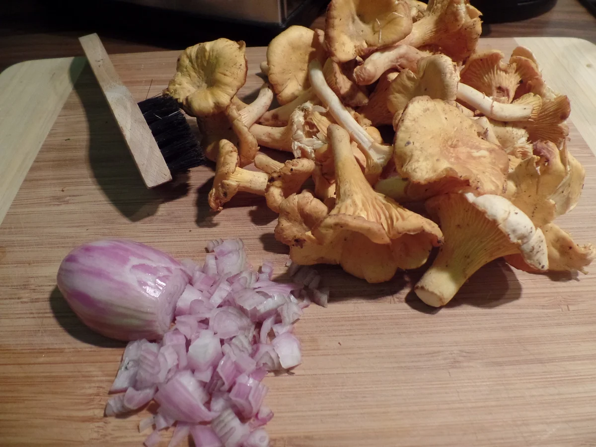 Serviettenknödel gebraten mit Pfifferlingen in Sahnesauce - Rezept - Bild Nr. 526