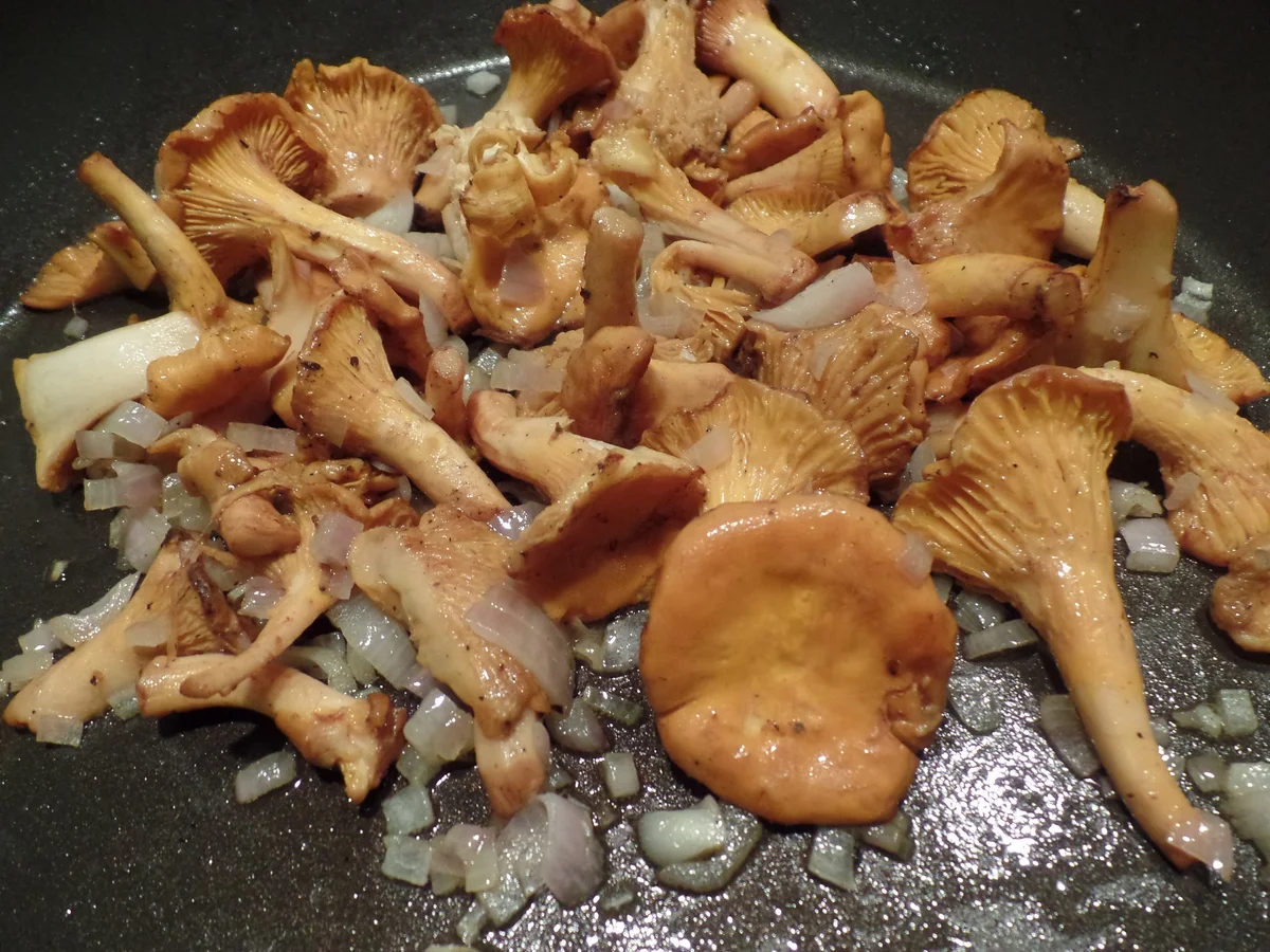 Serviettenknödel gebraten mit Pfifferlingen in Sahnesauce - Rezept - Bild Nr. 527