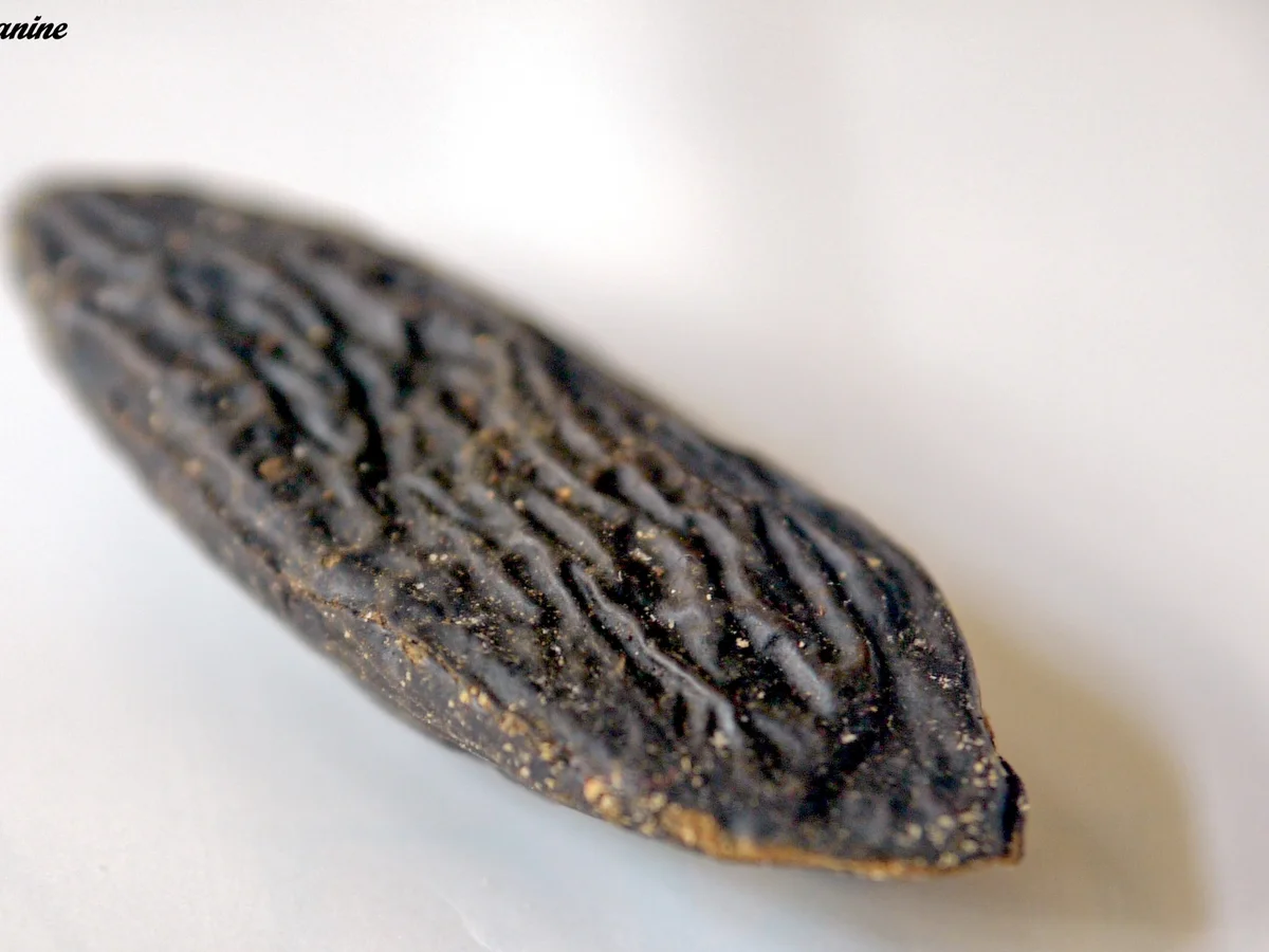 Chocolate Voila mit Weinbrandbirnen - Rezept - Bild Nr. 531