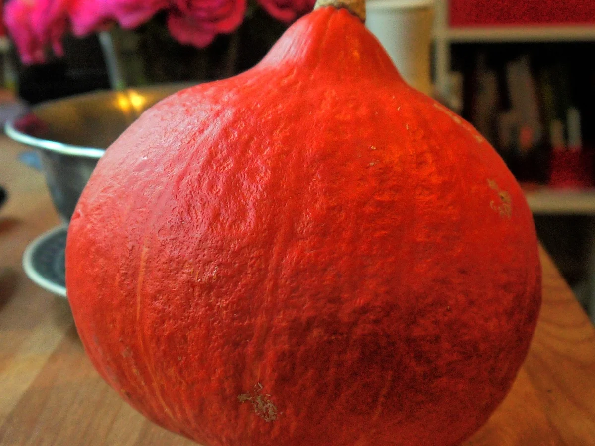 Kürbis-Curry-Suppe - Rezept - Bild Nr. 2