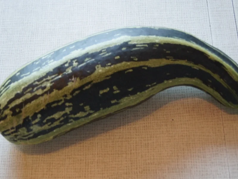 Rezept: Gebratene Zucchini Bild Nr. 527 Gebratene Zucchini - Rezept - Bild Nr. 527