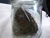 Tee zur Verdauung - Rezept - Bild Nr. 543