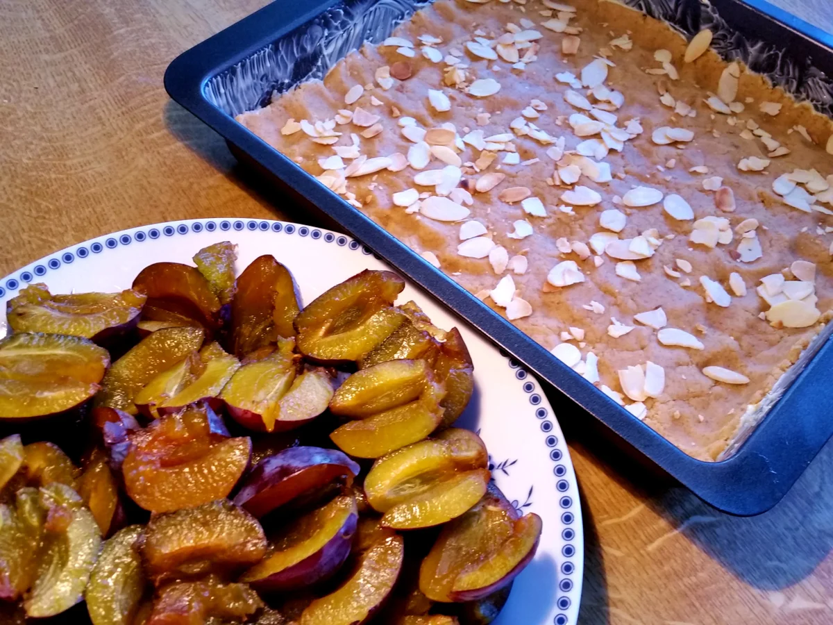 Pflaumenkuchen Nr. 1 von 2016 - Rezept - Bild Nr. 558