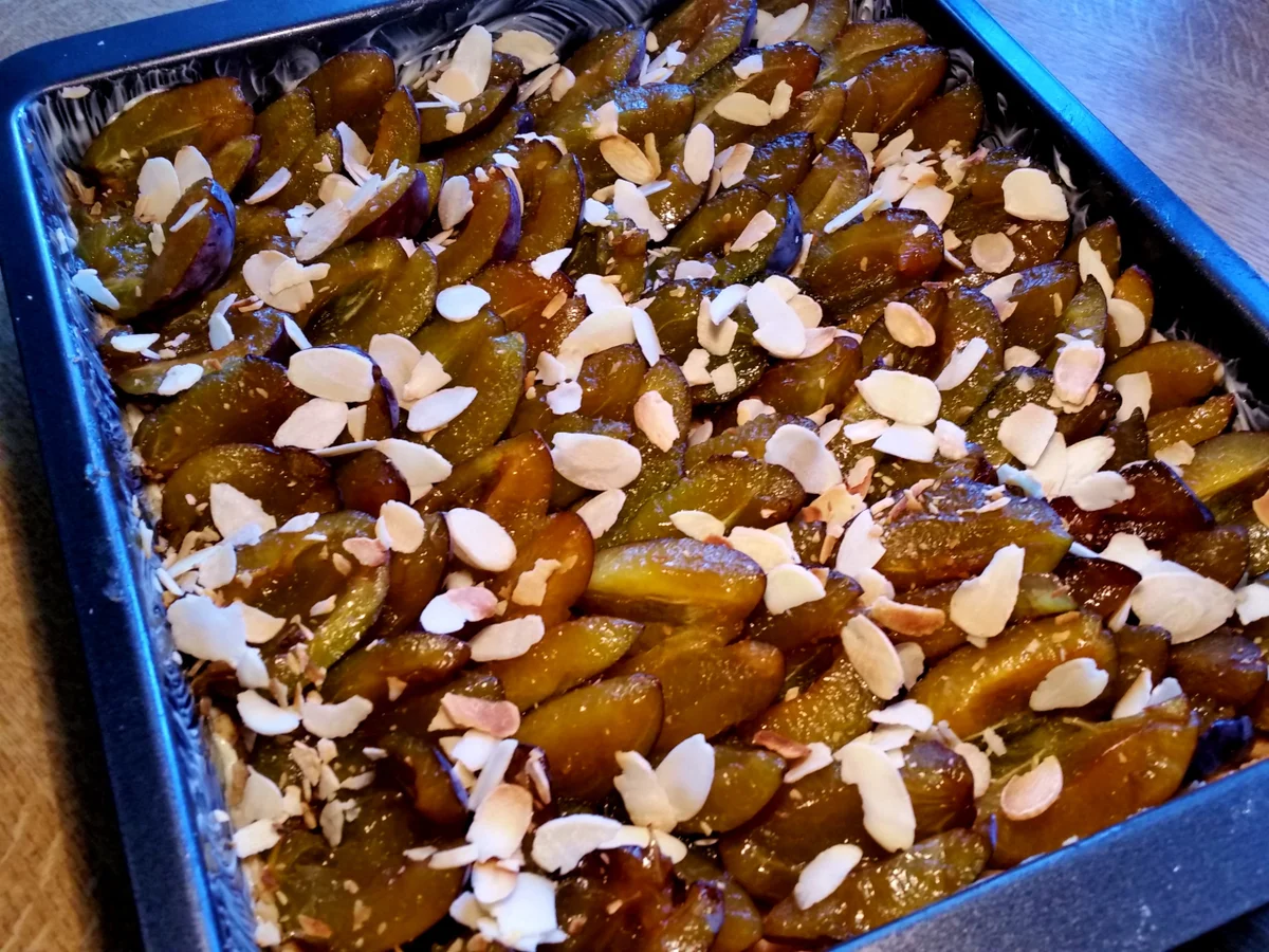 Pflaumenkuchen Nr. 1 von 2016 - Rezept - Bild Nr. 559