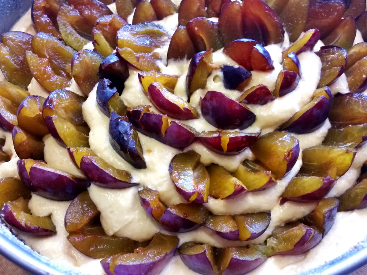 Pflaumenkuchen Nr. 2 von 2016 - Rezept - Bild Nr. 549