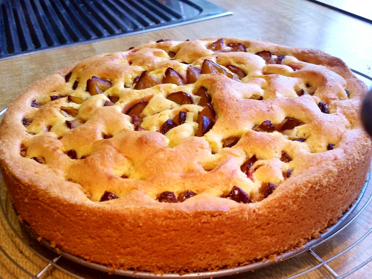 Pflaumenkuchen Nr. 2 von 2016 - Rezept - Bild Nr. 550