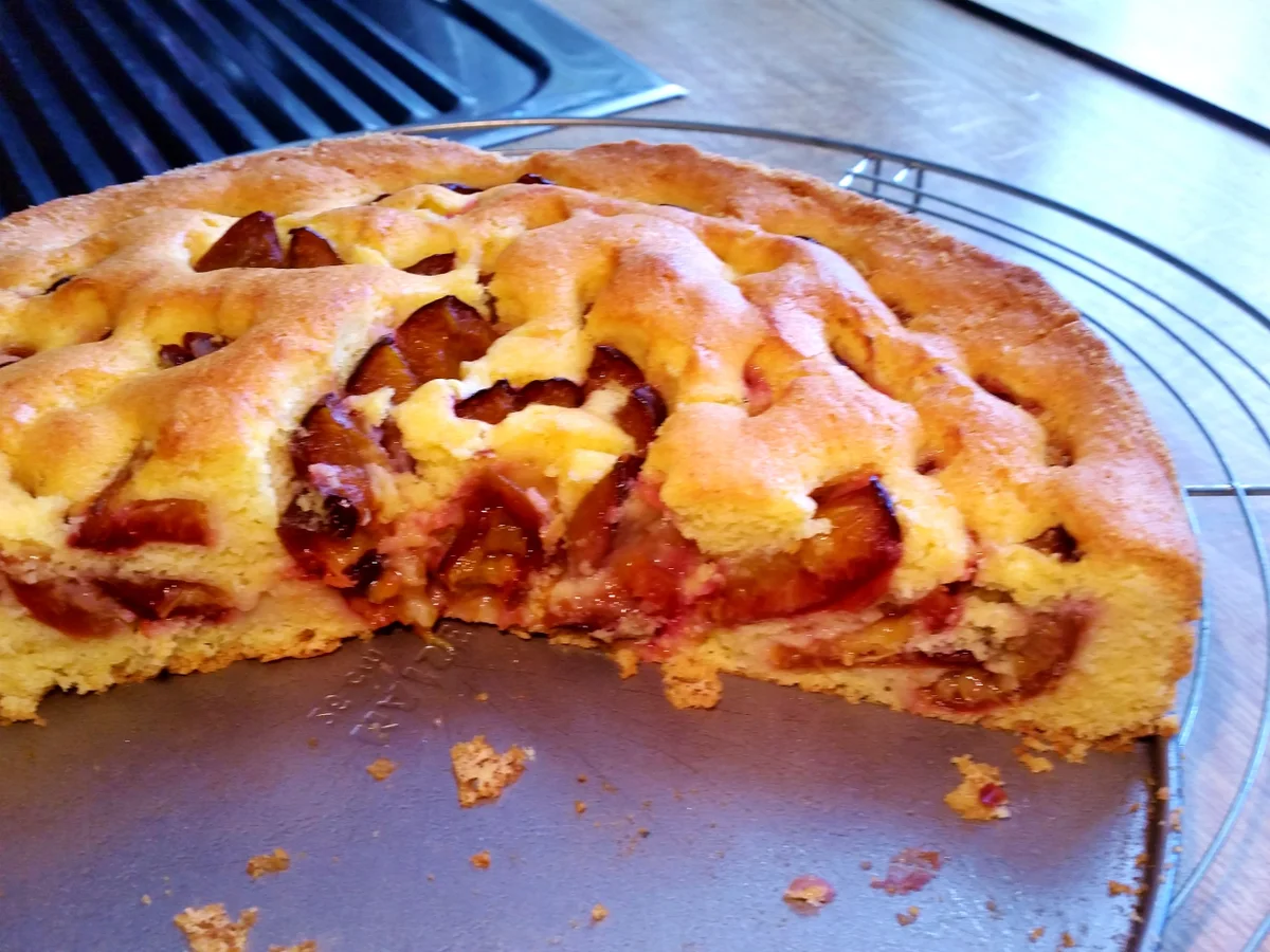 Pflaumenkuchen Nr. 2 von 2016 - Rezept - Bild Nr. 551
