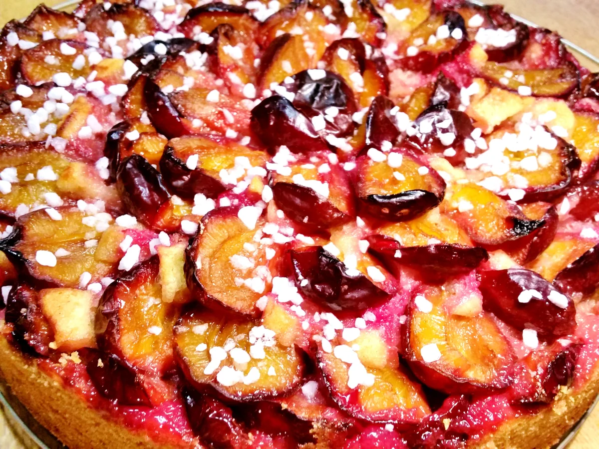 Pflaumenkuchen Nr. 3 von 2016 ... - Rezept - Bild Nr. 551