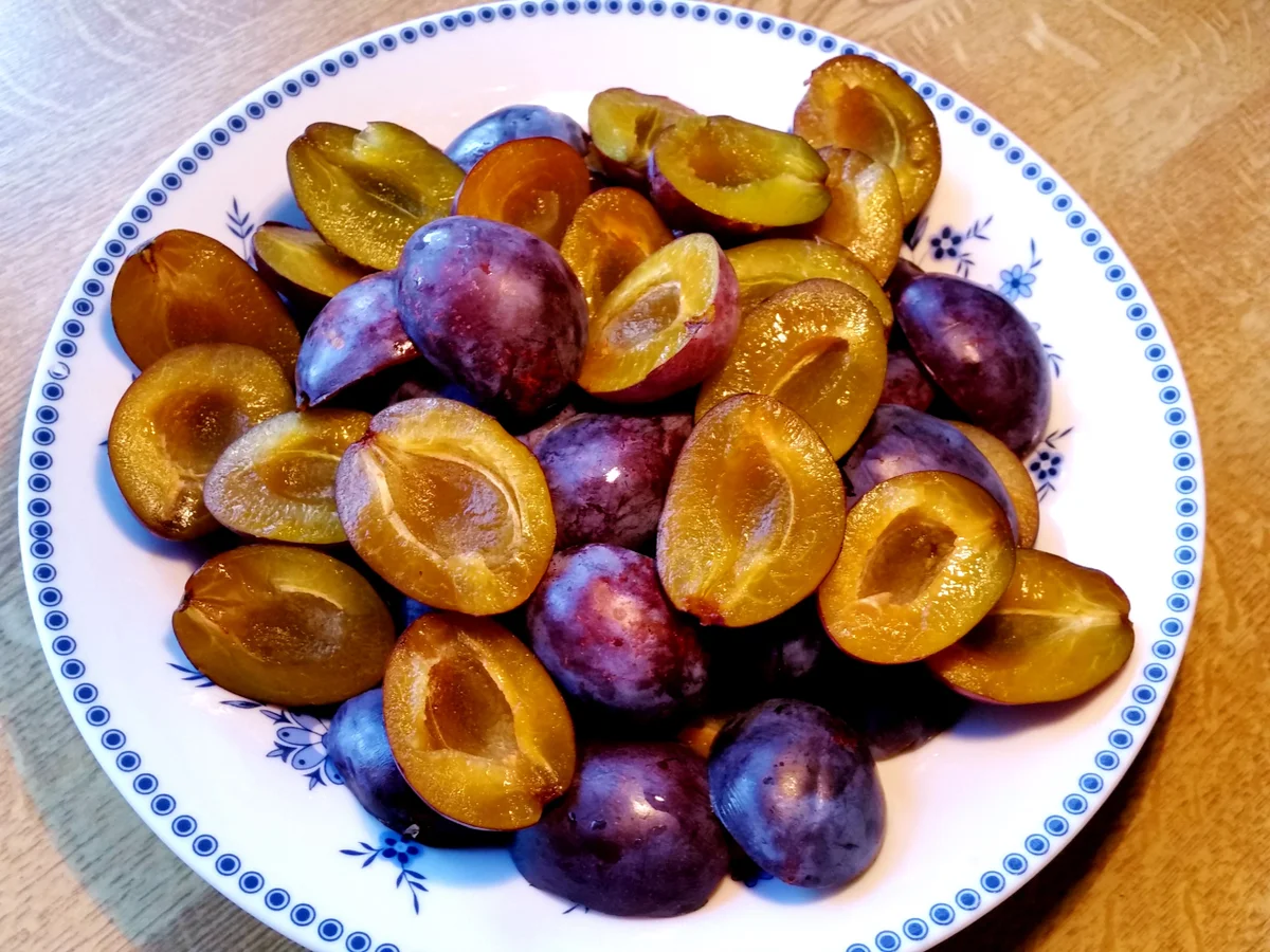 Pflaumenkuchen Nr. 3 von 2016 ... - Rezept - Bild Nr. 553