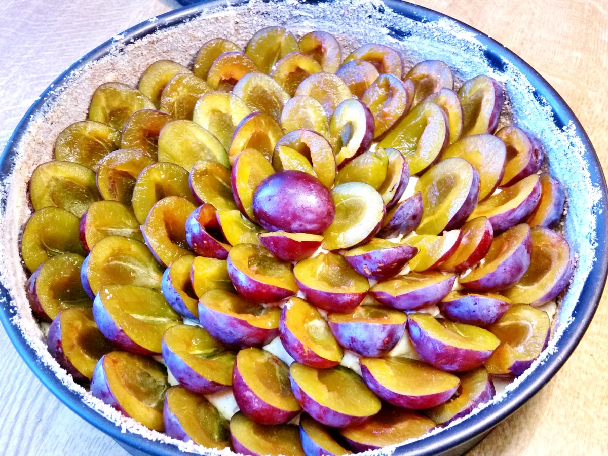 Pflaumenkuchen Nr. 3 von 2016 ... - Rezept - Bild Nr. 556