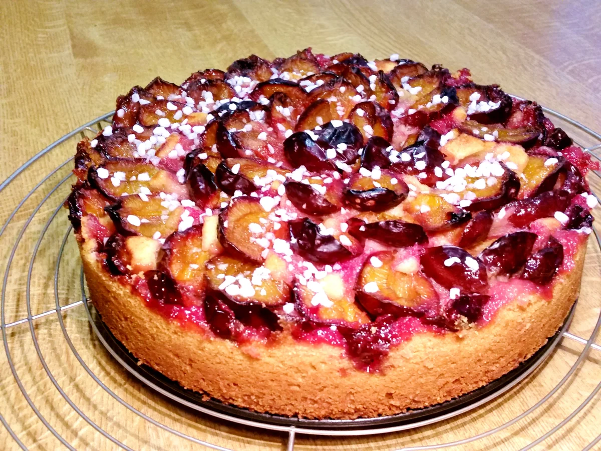 Pflaumenkuchen Nr. 3 von 2016 ... - Rezept - Bild Nr. 558