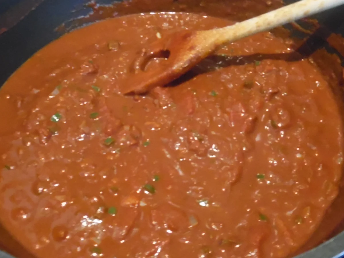 Rezept: Mexikanisches Hühnchen in scharfer Schoko-Chili-Sauce (Mole) Bild Nr. 566 Mexikanisches Hühnchen in scharfer Schoko-Chili-Sauce (Mole) - Rezept - Bild Nr. 566