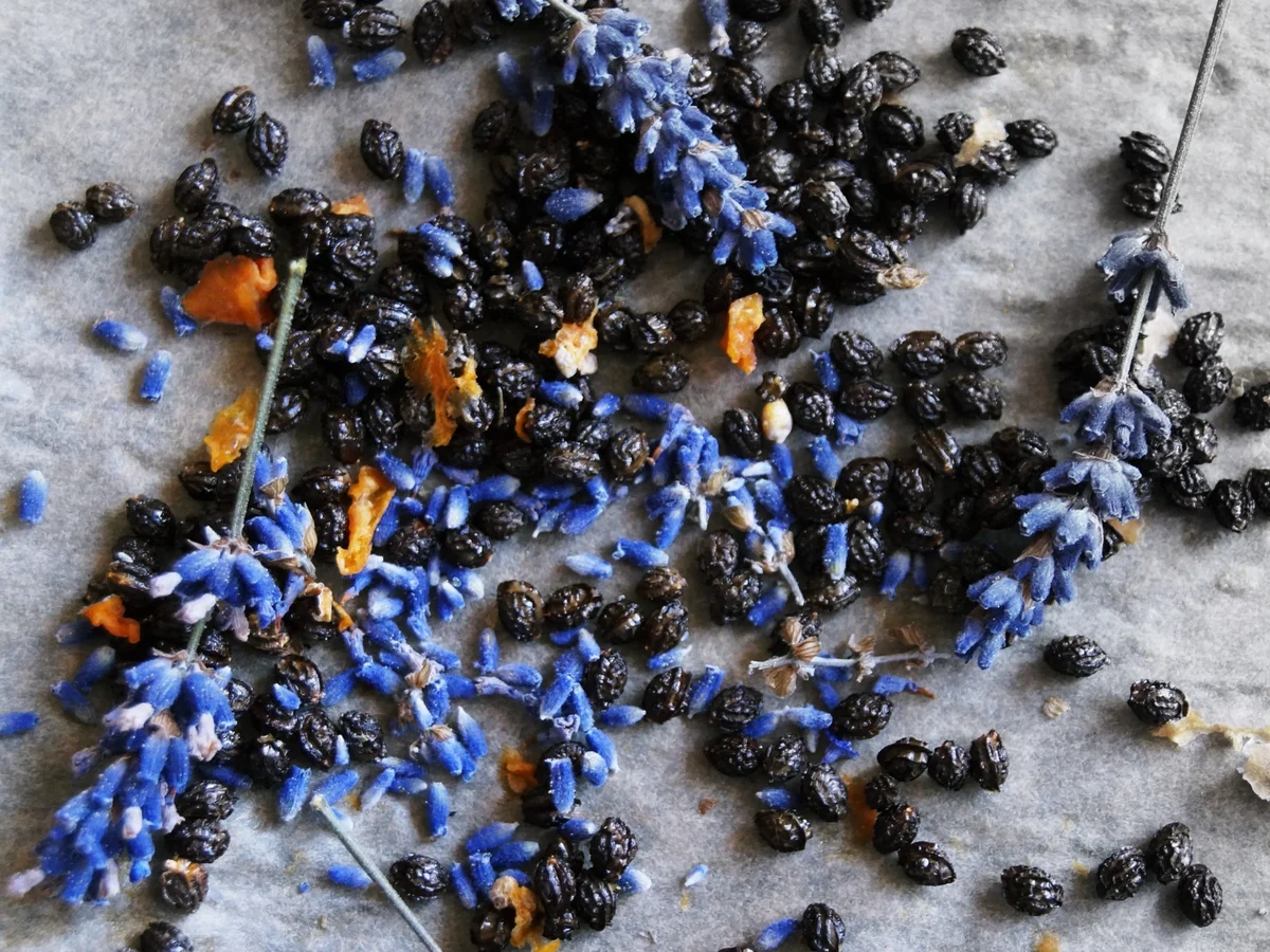 Gewürz: Papaya-Lavendel-Pfeffer - Rezept - Bild Nr. 561