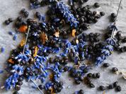 Gewürz: Papaya-Lavendel-Pfeffer - Rezept - Bild Nr. 561