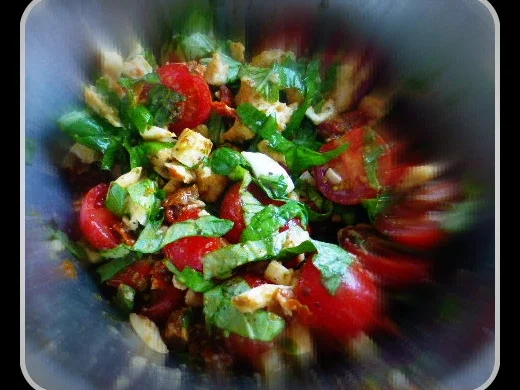 Parmesancrepes mit Mozzarella-Tomatenfüllung und Rucola - Rezept - Bild Nr. 566