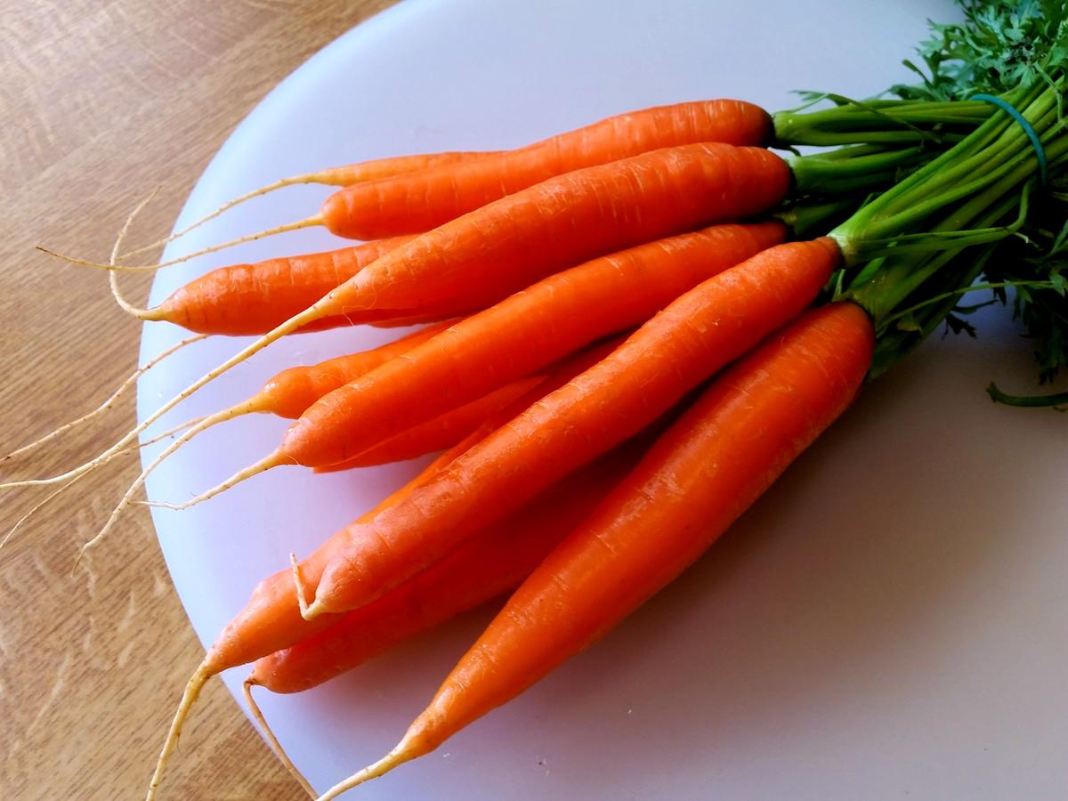 Zarte Karotten mit jungen Lauchzwiebeln - Rezept - Bild Nr. 564