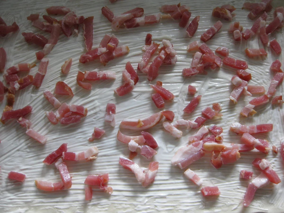 Flammkuchen mit Speck und Zwiebeln - Rezept - Bild Nr. 565