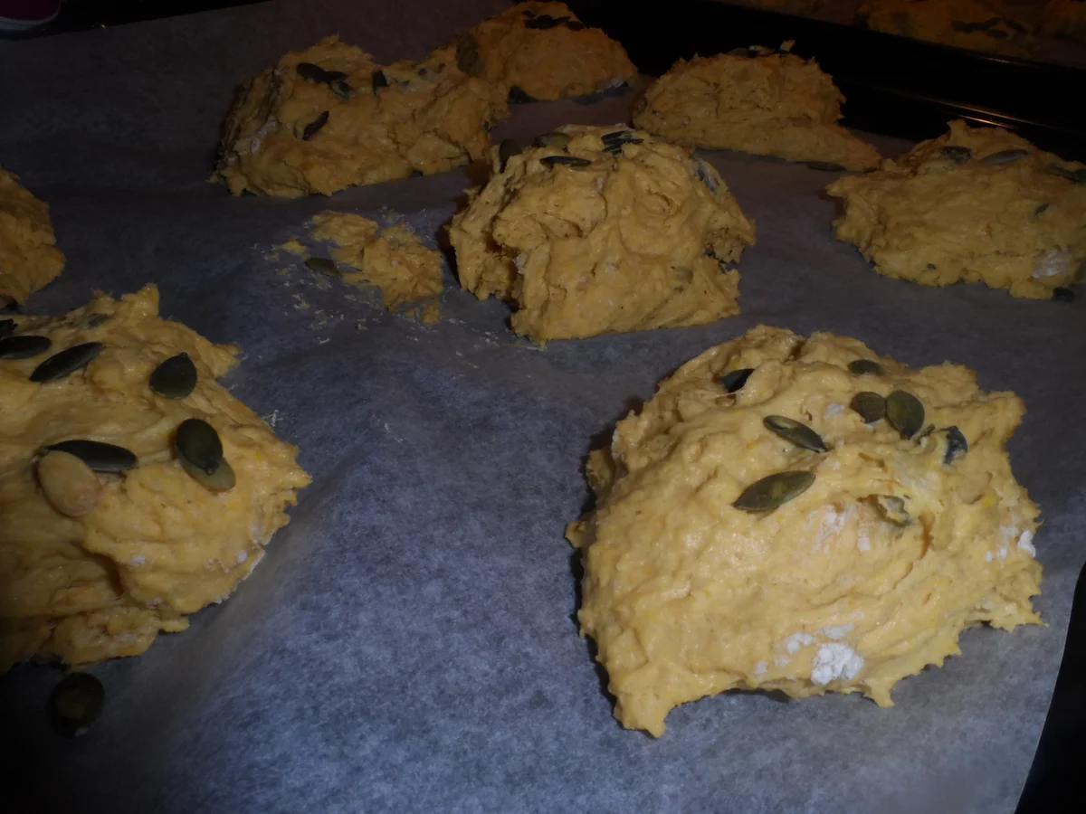 Rezept: BiNe` S KÜRBISBRÖTCHEN Bild Nr. 6 BiNe` S KÜRBISBRÖTCHEN - Rezept - Bild Nr. 6