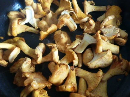 Schweinefilet im Semmelknödelmantel mit Pfifferlingen - Rezept - Bild Nr. 584