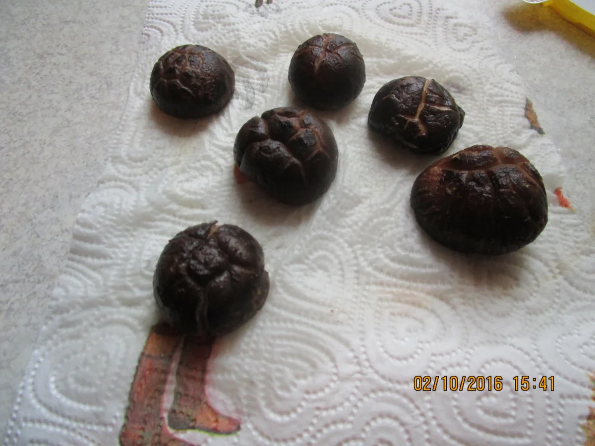 Schweinefleisch mit Paprika - Rezept - Bild Nr. 587