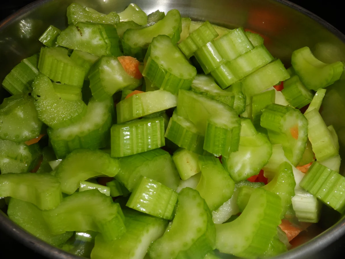 BiNe` S LINSENBOLOGNESE - Rezept - Bild Nr. 740