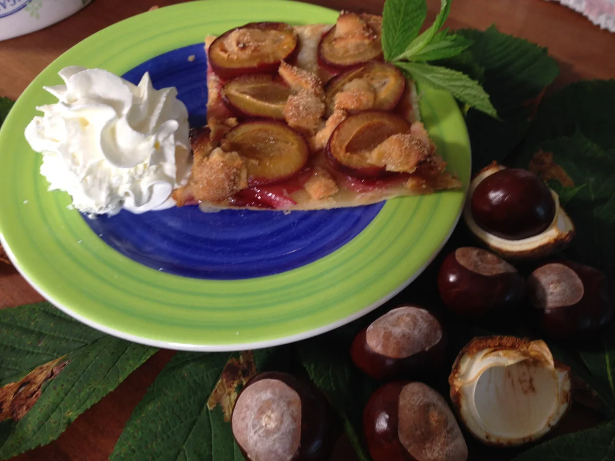 Schnellster Zwetschgenkuchen der Welt - Rezept - Bild Nr. 603