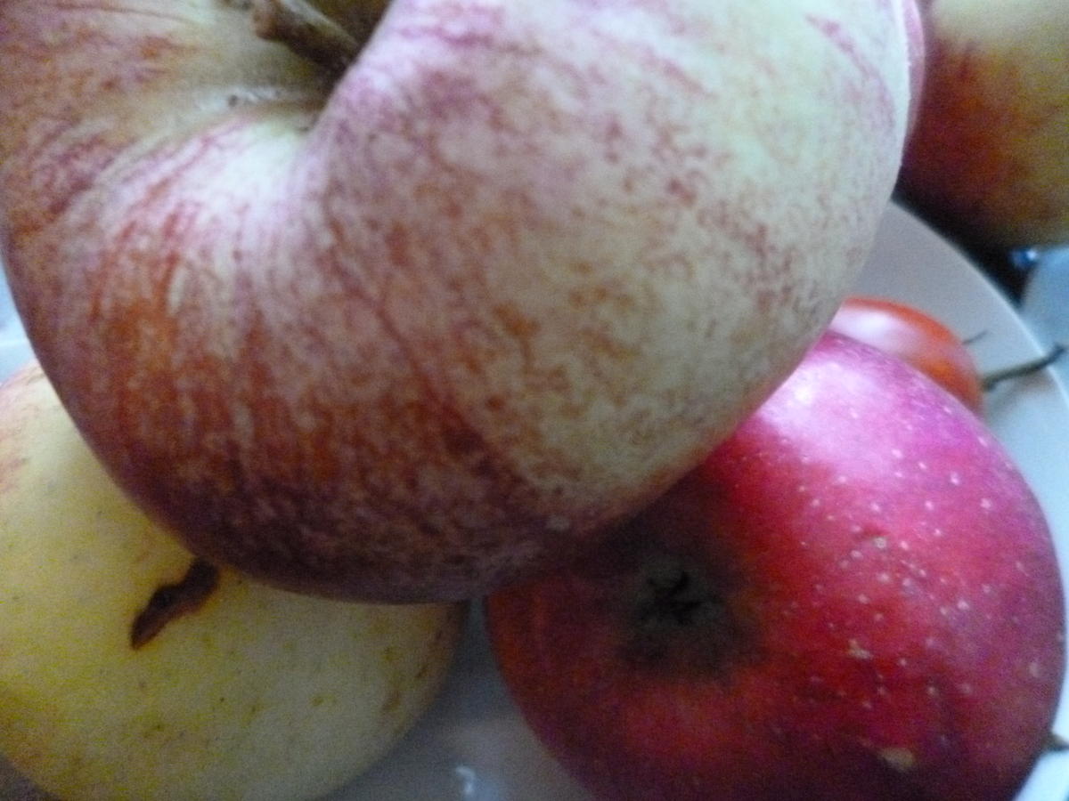 Süßer Apfel-Meerrettich - Rezept - Bild Nr. 603