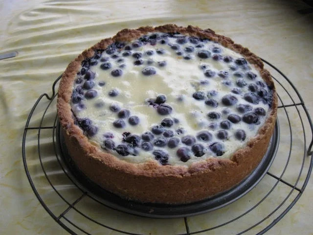 Heidelbeernkuchen mit sauer Sahne Guss - Rezept - Bild Nr. 623