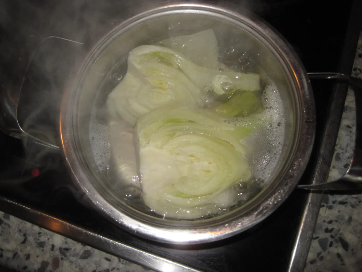 Fenchel überbacken - Rezept - Bild Nr. 628