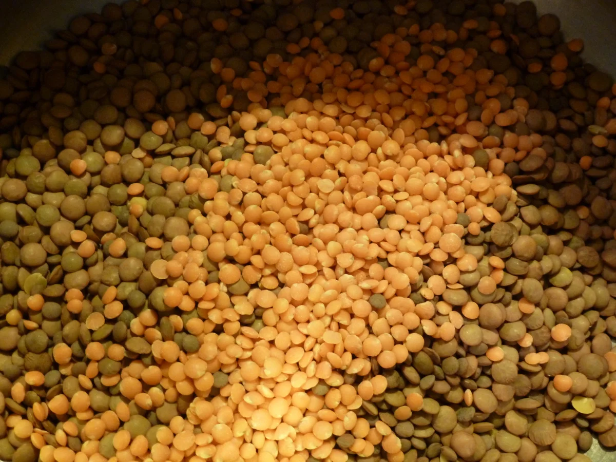 Linsen und Spätzle Nr°2 - Rezept - Bild Nr. 659