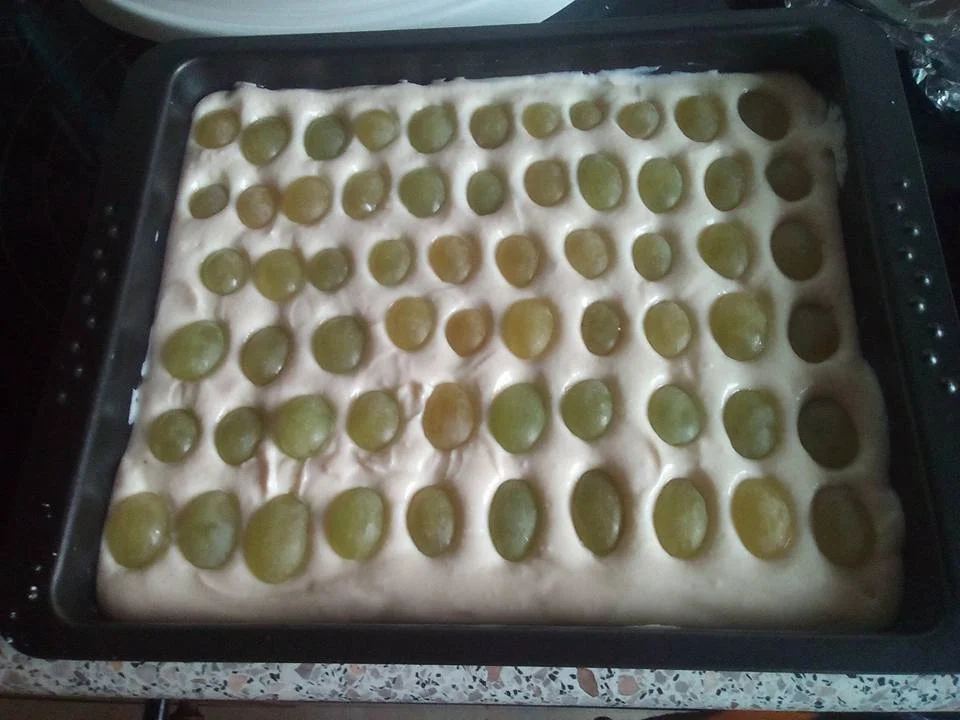 Weintraubenkuchen - Rezept - Bild Nr. 665
