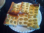 Weintraubenkuchen - Rezept - Bild Nr. 666