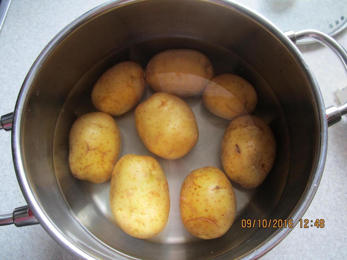 Lachs-/Spinat-Auflauf überbacken mit Kartoffelpü und Käse - Rezept - Bild Nr. 668