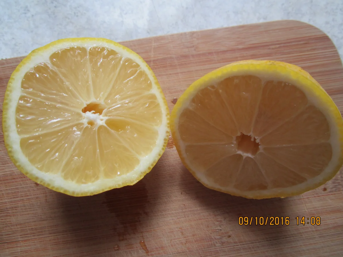 Rezept: Lachs-/Spinat-Auflauf überbacken mit Kartoffelpü und Käse Bild Nr. 674 Lachs-/Spinat-Auflauf überbacken mit Kartoffelpü und Käse - Rezept - Bild Nr. 674