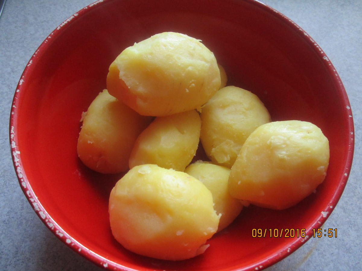 Lachs-/Spinat-Auflauf überbacken mit Kartoffelpü und Käse - Rezept - Bild Nr. 676