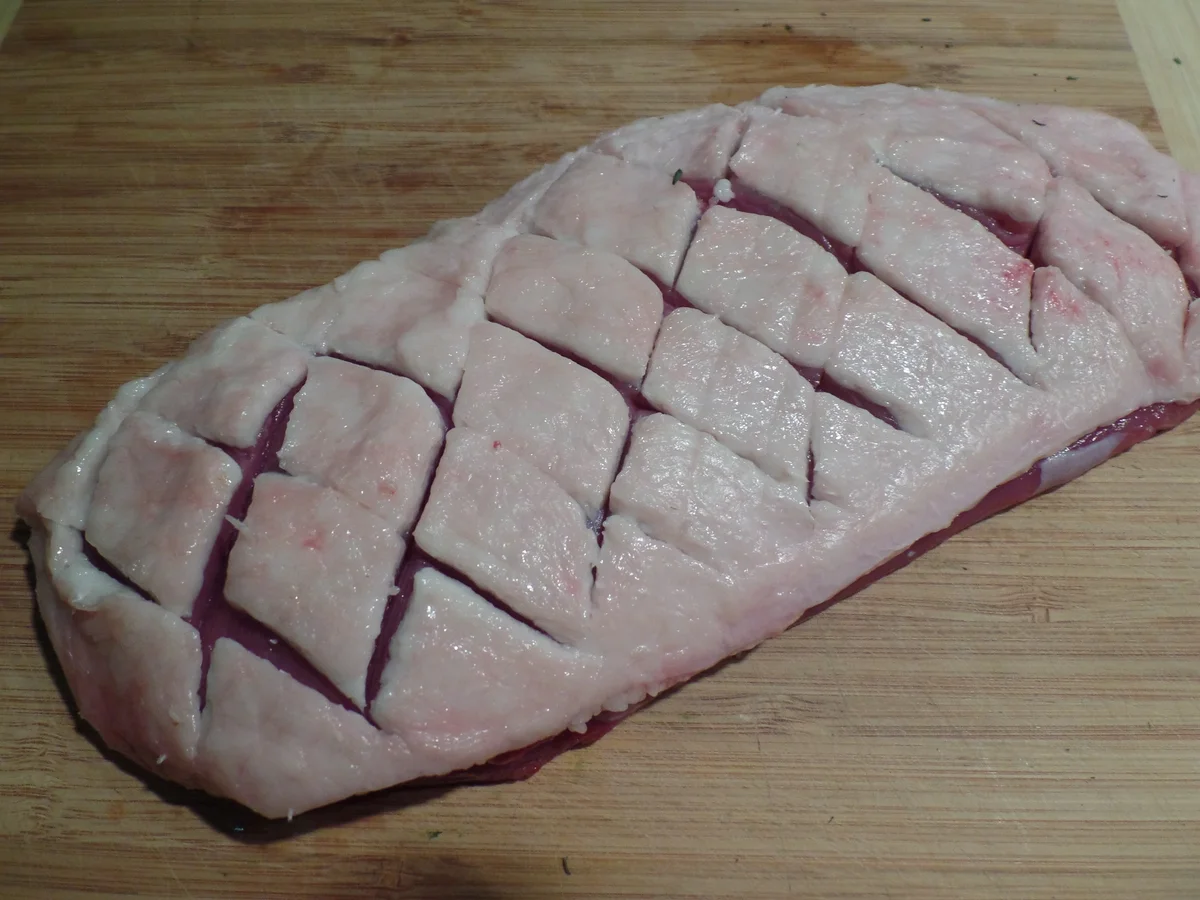 Entenbrust mit Äpfeln und Zwiebeln - Rezept - Bild Nr. 685