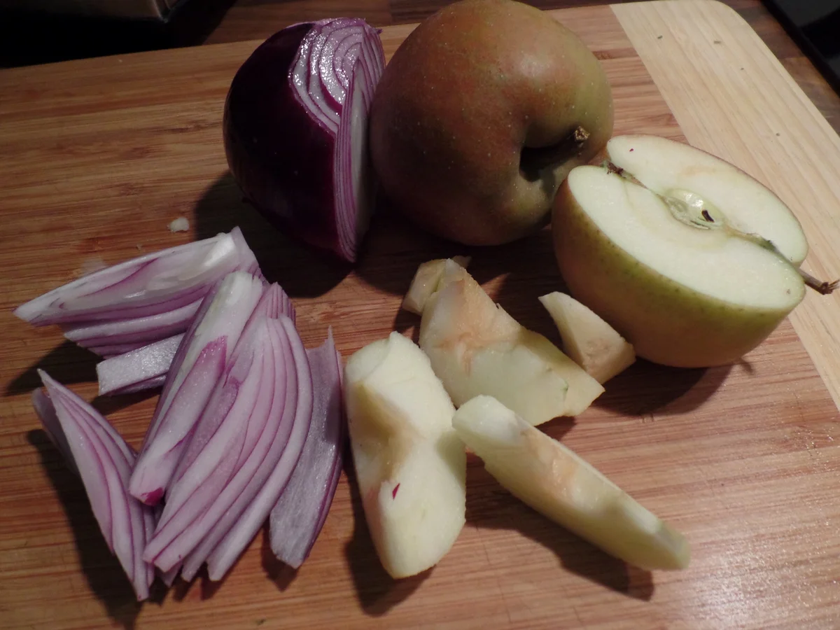 Entenbrust mit Äpfeln und Zwiebeln - Rezept - Bild Nr. 686