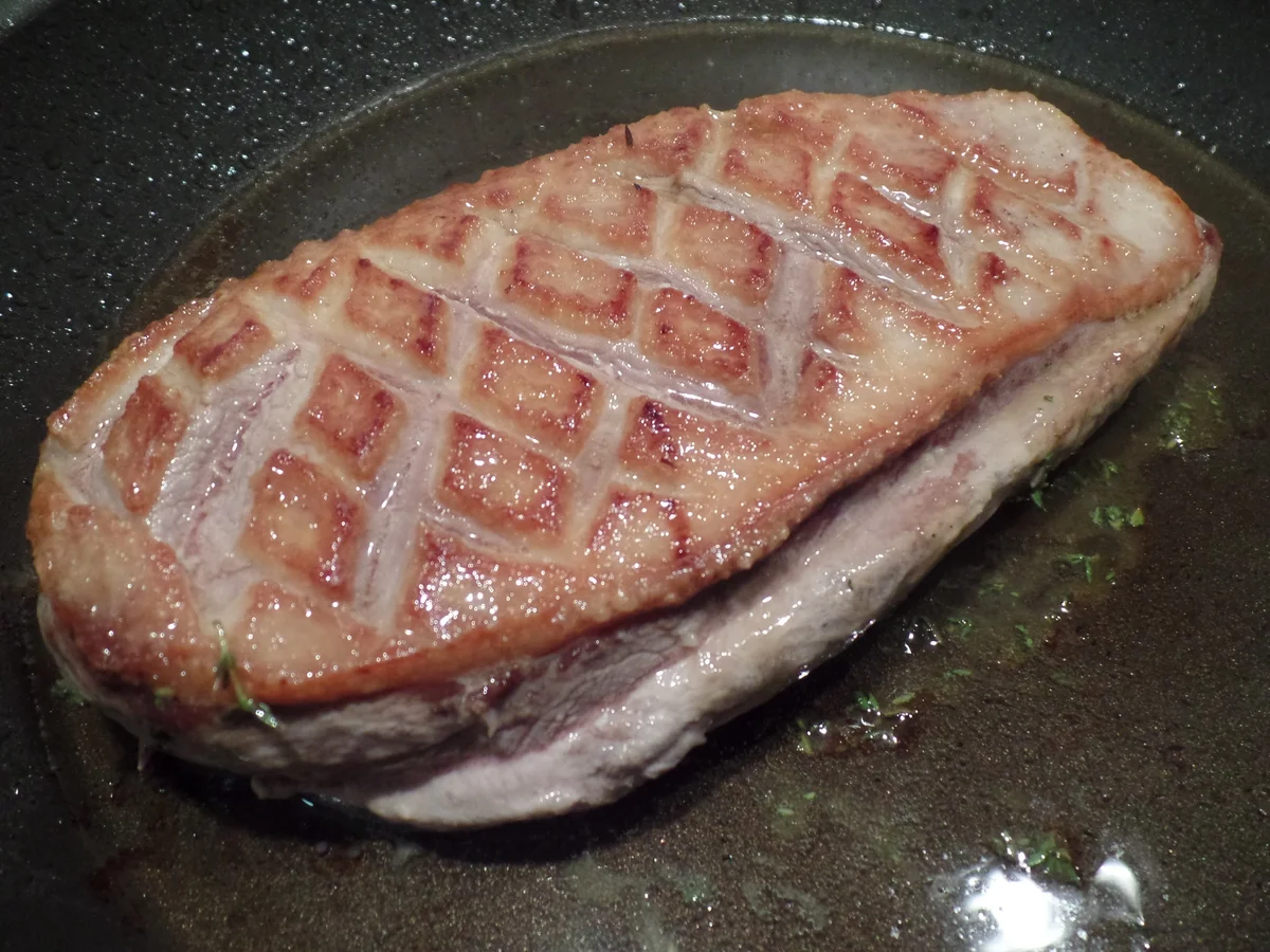 Entenbrust mit Äpfeln und Zwiebeln - Rezept - Bild Nr. 689