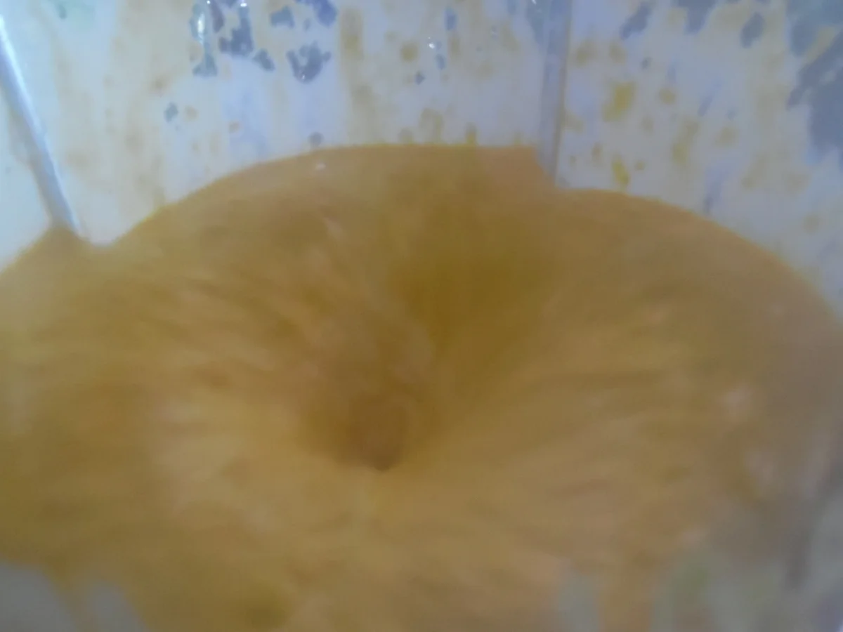 Rezept: Kürbis-Kuchen mit Schokohaube Bild Nr. 6 Kürbis-Kuchen mit Schokohaube - Rezept - Bild Nr. 6