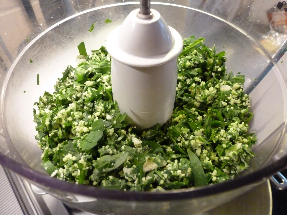 Rezept: Rucola-Pesto & Basilikum-Pesto aus blauem Basilikum Bild Nr. 682 Rucola-Pesto & Basilikum-Pesto aus blauem Basilikum - Rezept - Bild Nr. 682