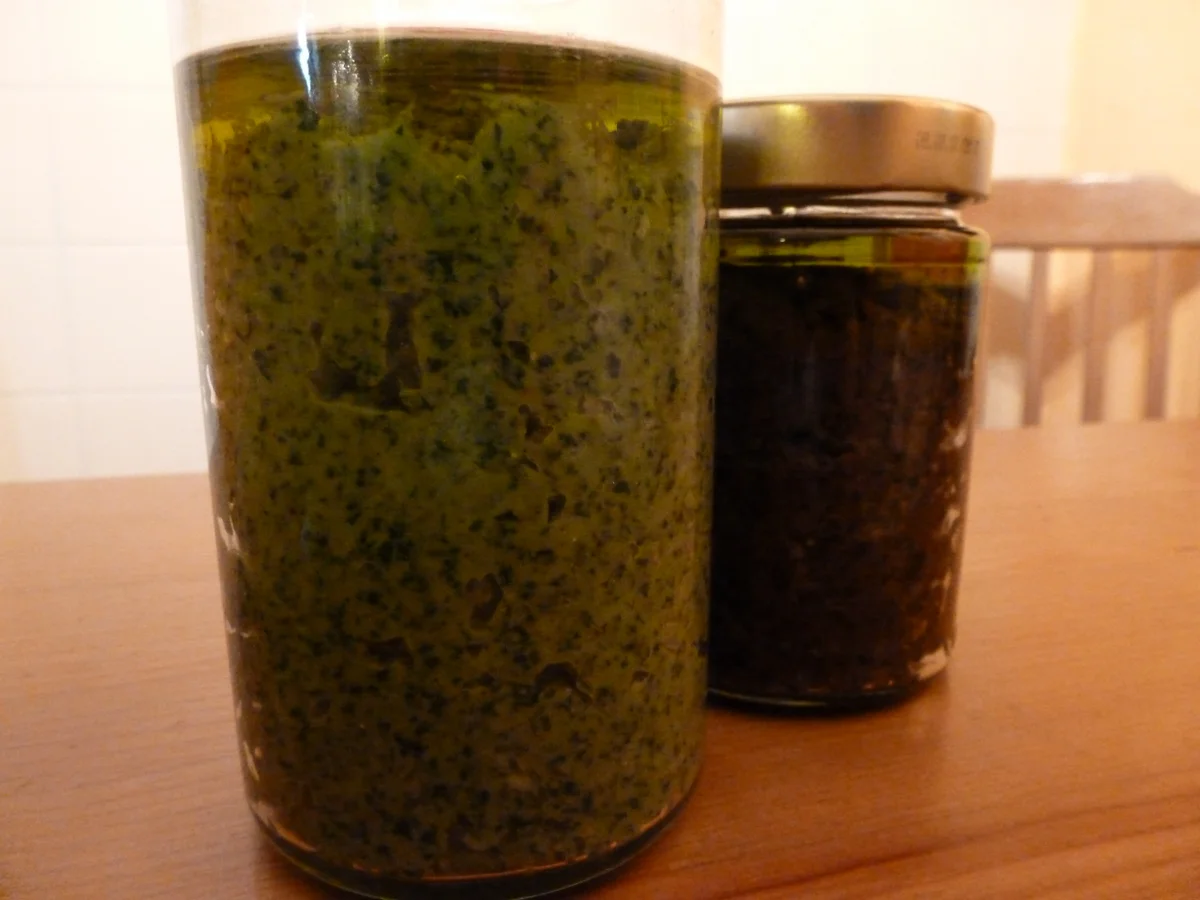 Rezept: Rucola-Pesto & Basilikum-Pesto aus blauem Basilikum Bild Nr. 683 Rucola-Pesto & Basilikum-Pesto aus blauem Basilikum - Rezept - Bild Nr. 683