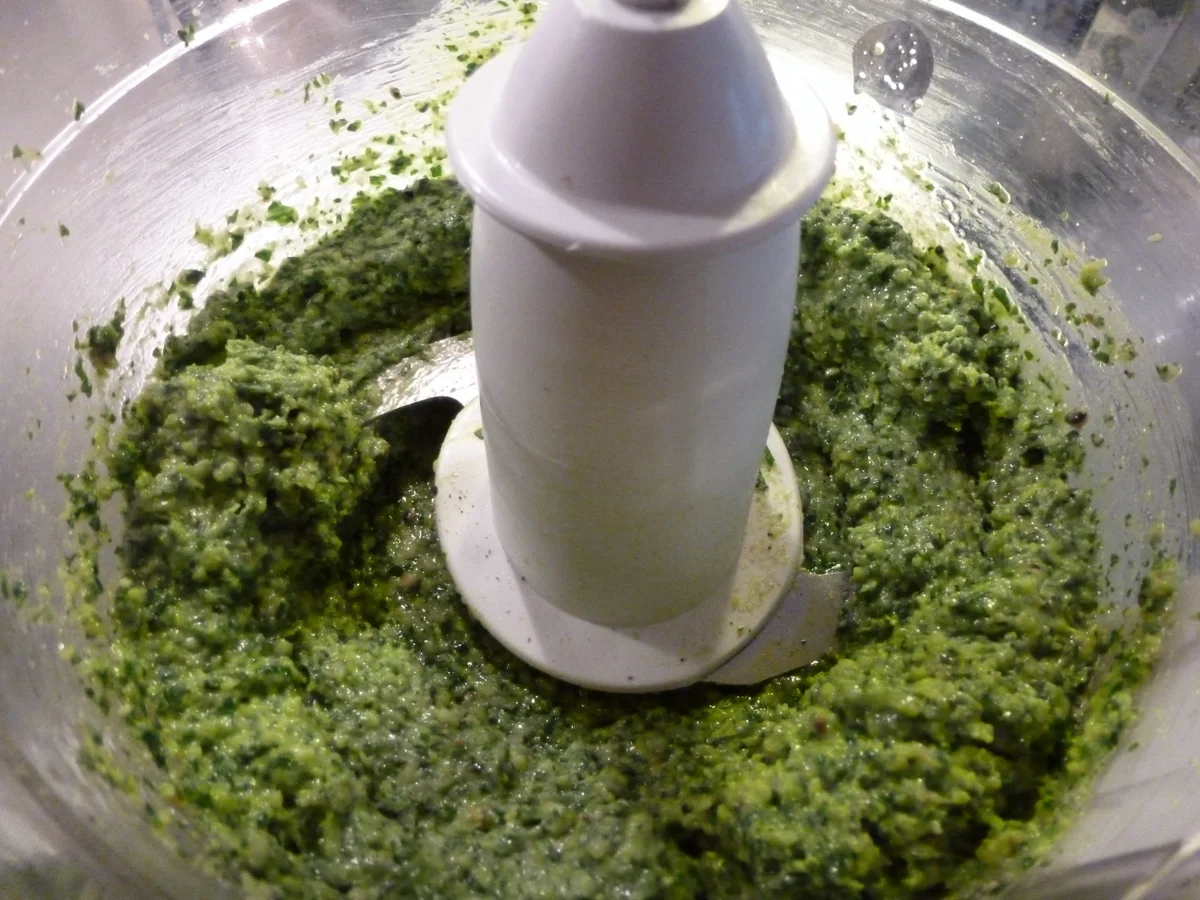Rezept: Rucola-Pesto & Basilikum-Pesto aus blauem Basilikum Bild Nr. 681 Rucola-Pesto & Basilikum-Pesto aus blauem Basilikum - Rezept - Bild Nr. 681